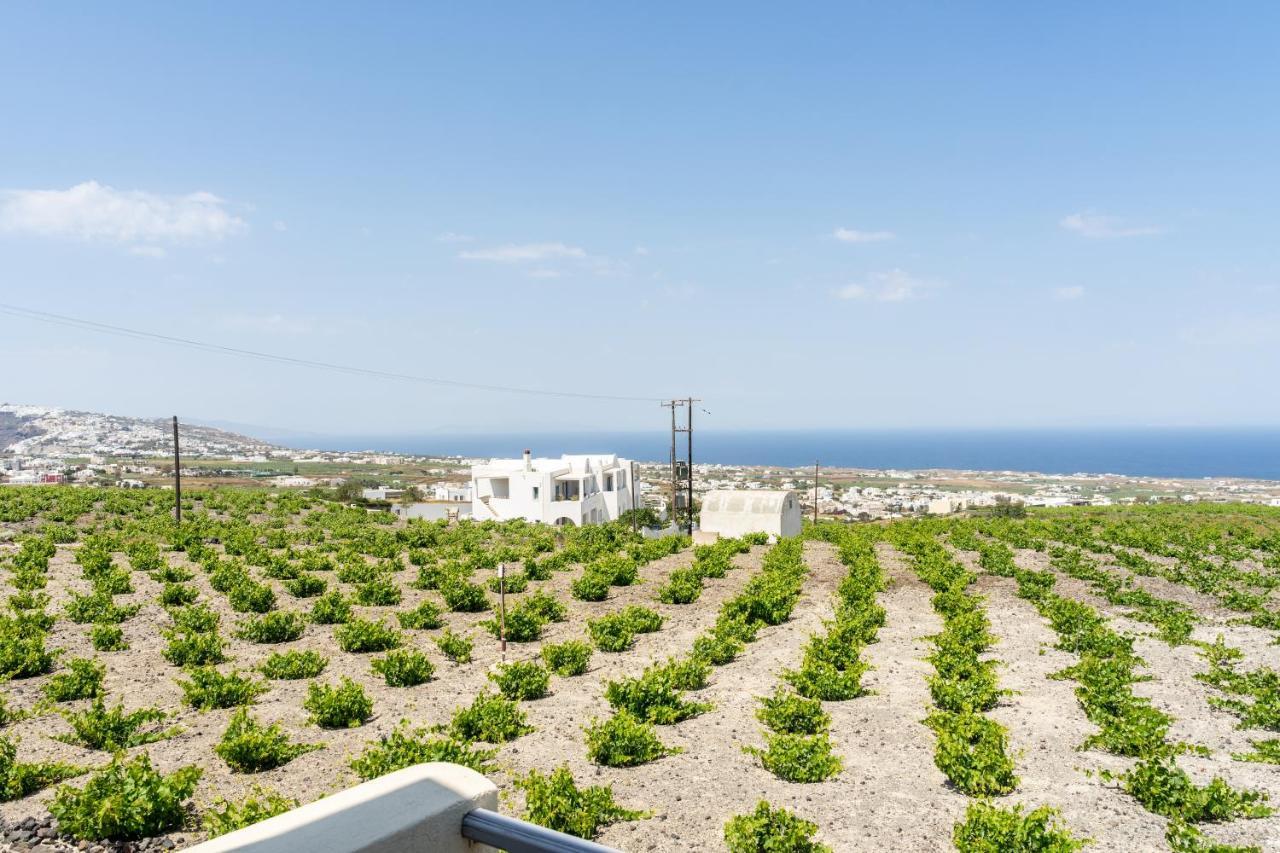 Ampelos Executive Houses Pyrgos Kallistis Luaran gambar