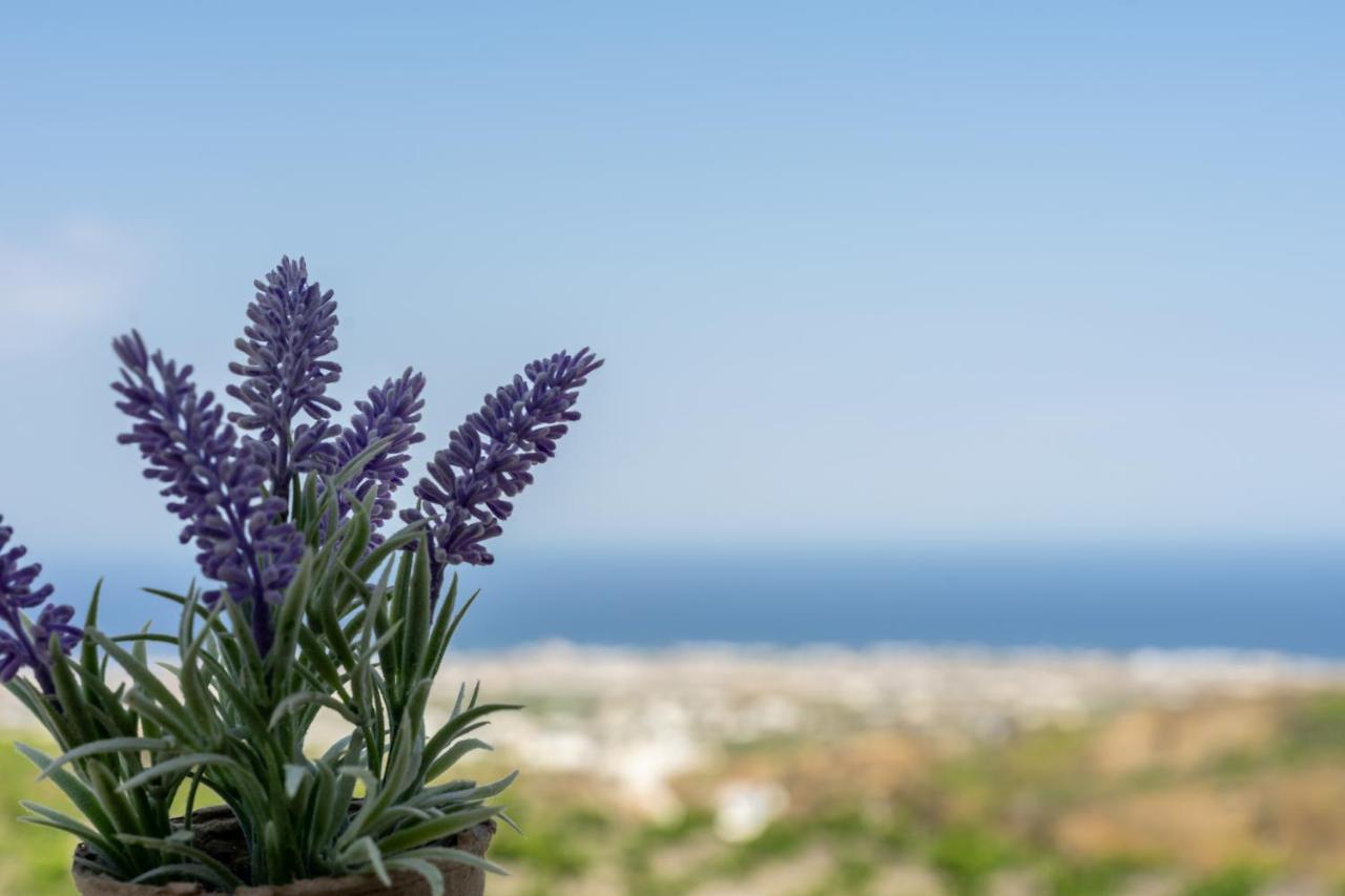 Ampelos Executive Houses Pyrgos Kallistis Luaran gambar