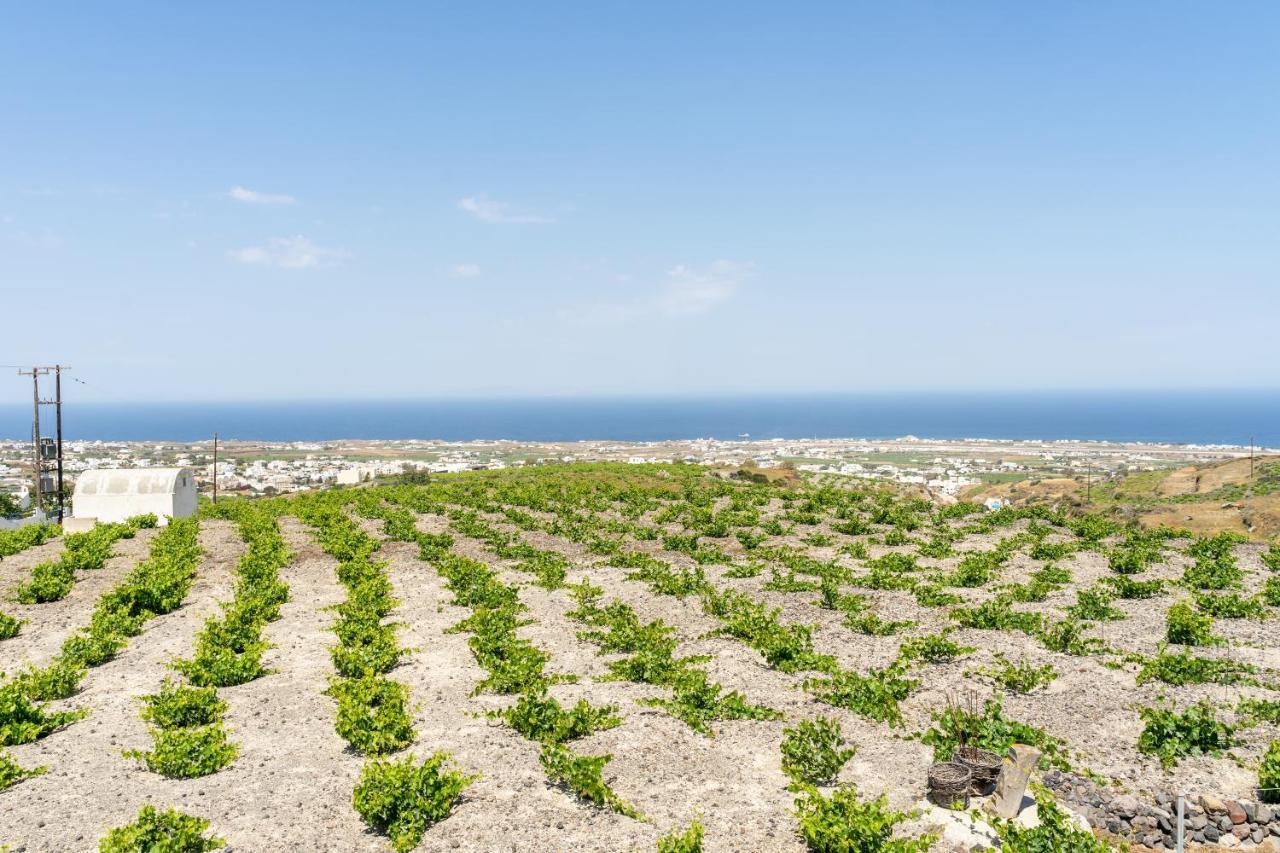 Ampelos Executive Houses Pyrgos Kallistis Luaran gambar