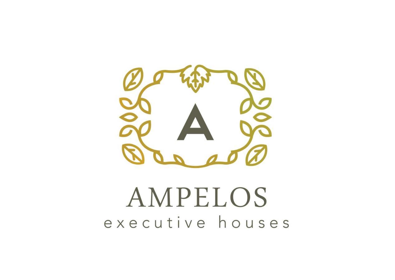 Ampelos Executive Houses Pyrgos Kallistis Luaran gambar